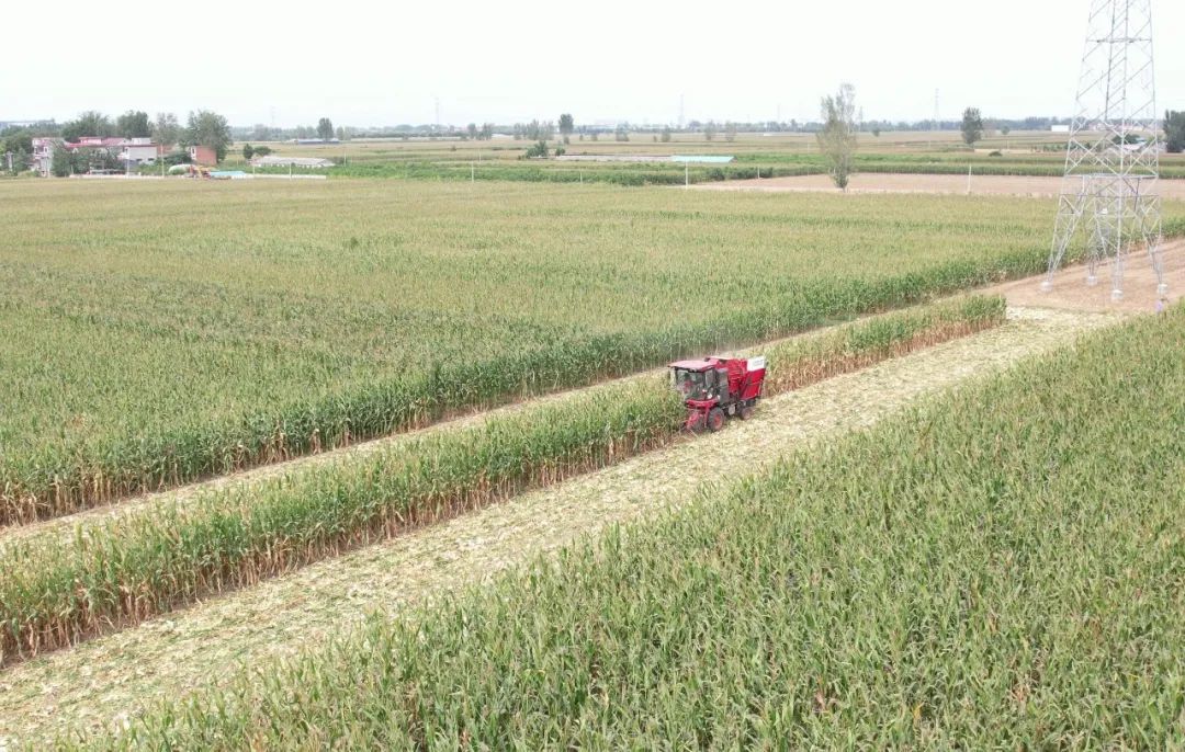 保定用户于立宾：日均作业100亩 “致富利器”中